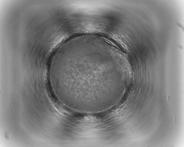 X0000093730591200710301045