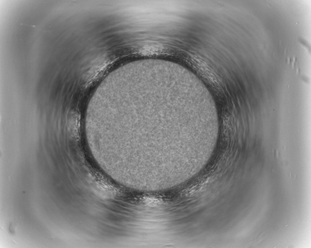 X0000093730592200710301045