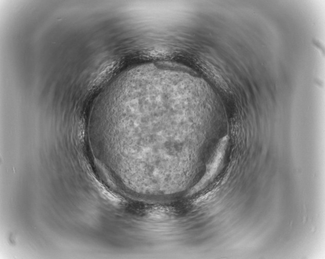 X0000093730593200710301045