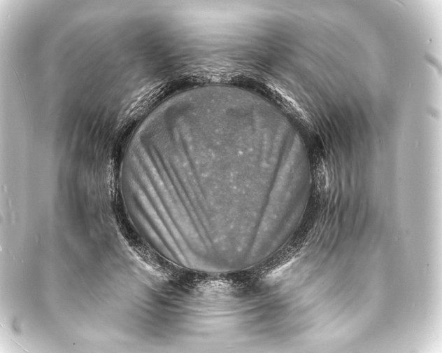 X0000093730594200710301045