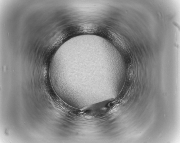 X0000093730595200710301045