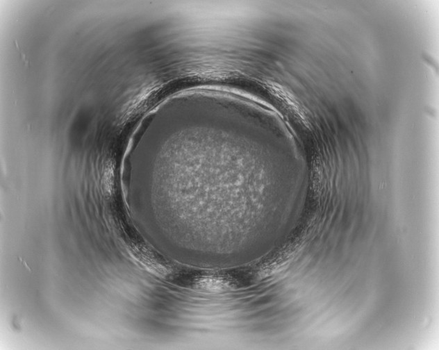 X0000093730596200710301045