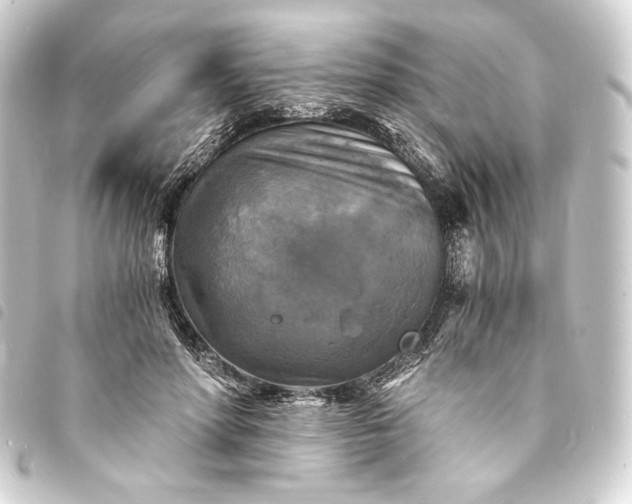 X0000093730598200710301045