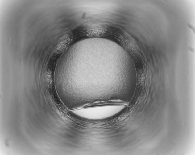 X0000093730599200710301045