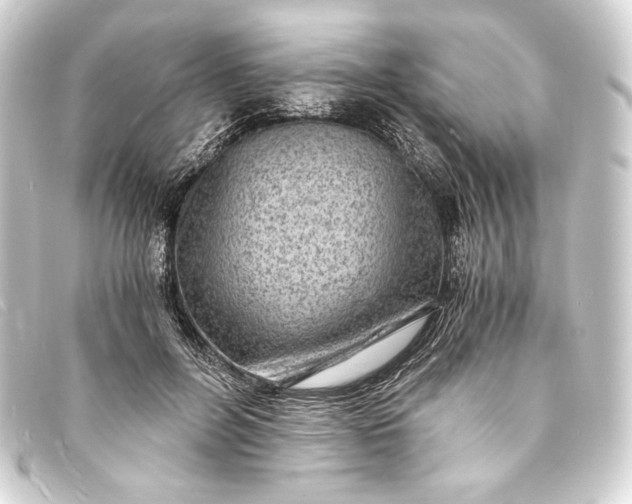 X0000093730600200710301045