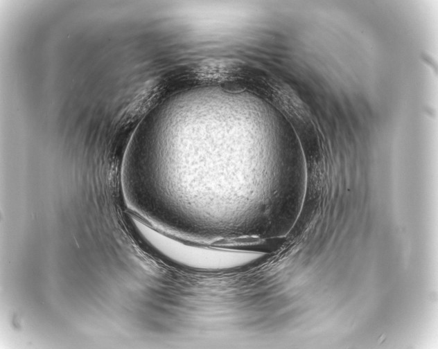 X0000093730601200710301045