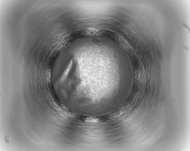 X0000093730602200710301045