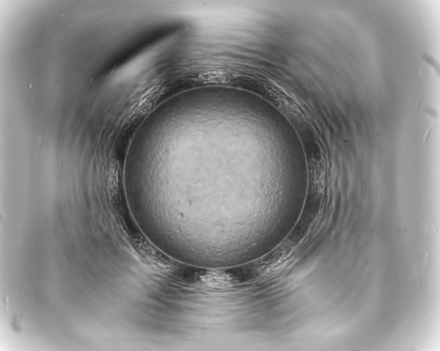 X0000093730603200710301045