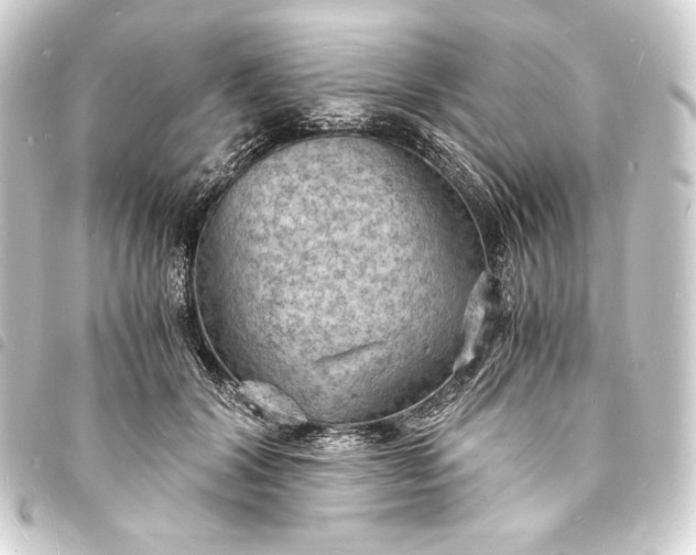 X0000093730604200710301045