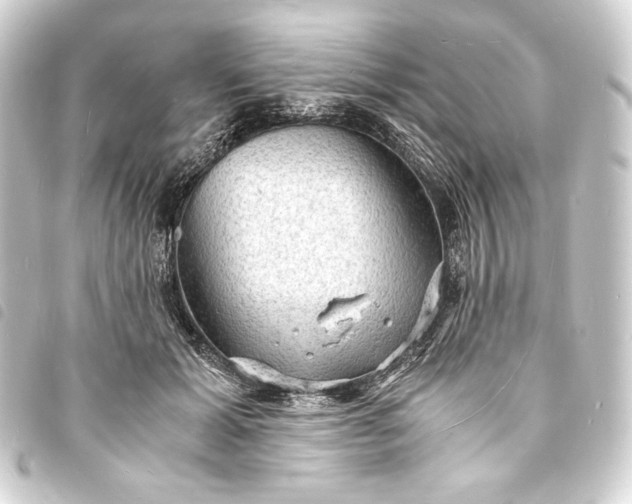 X0000093730605200710301045