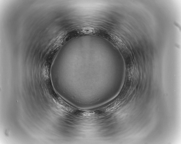 X0000093730606200710301045