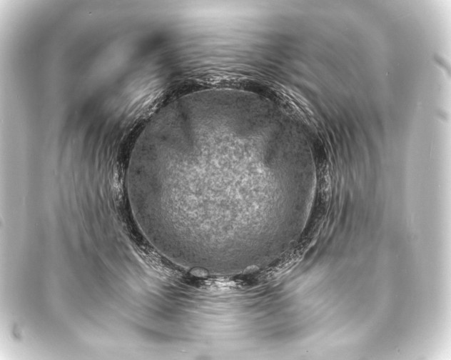 X0000093730607200710301045