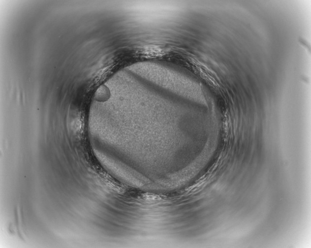 X0000093730608200710301045