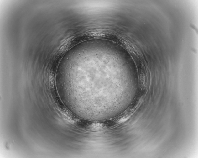 X0000093730609200710301045