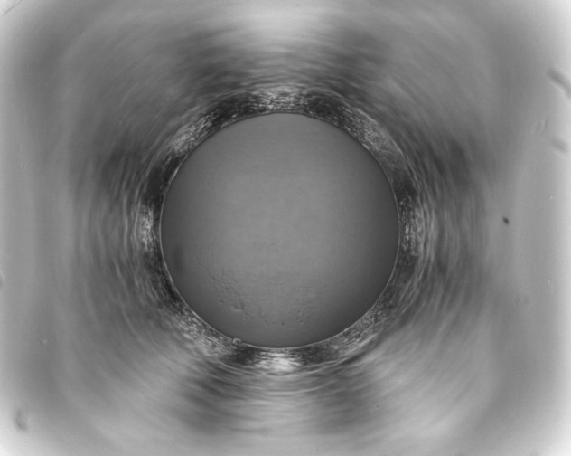 X0000093730610200710301045