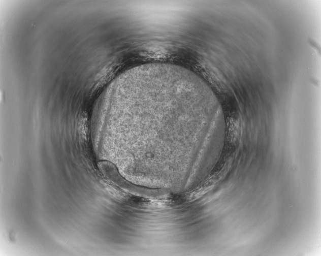 X0000093730612200710301045