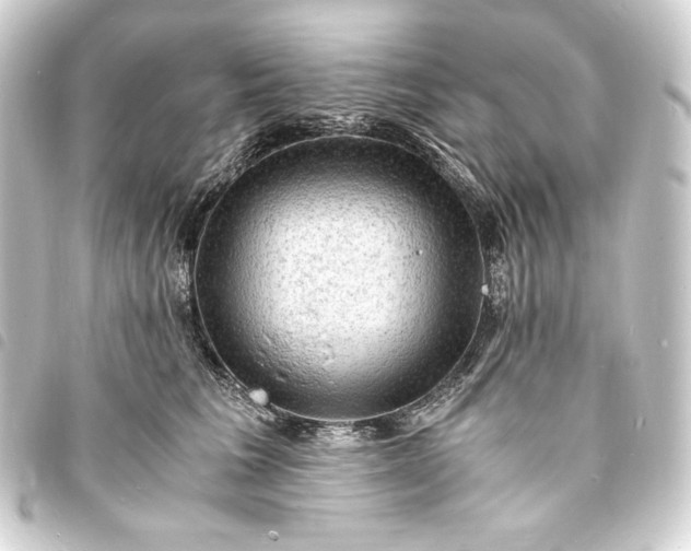 X0000093730613200710301045