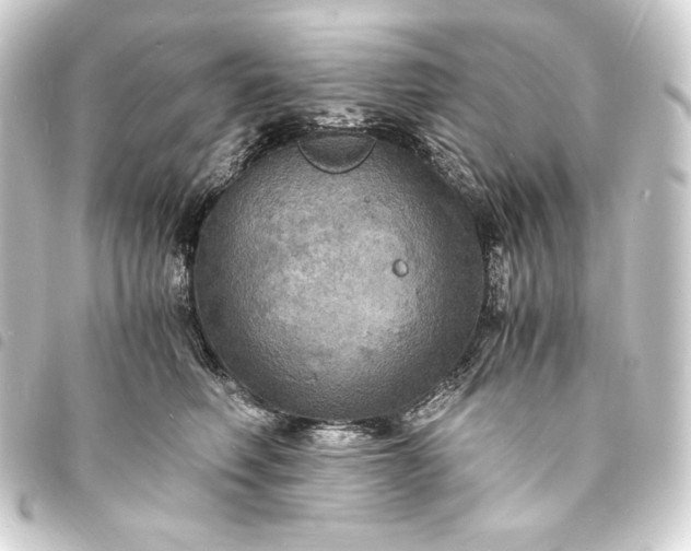 X0000093730614200710301045