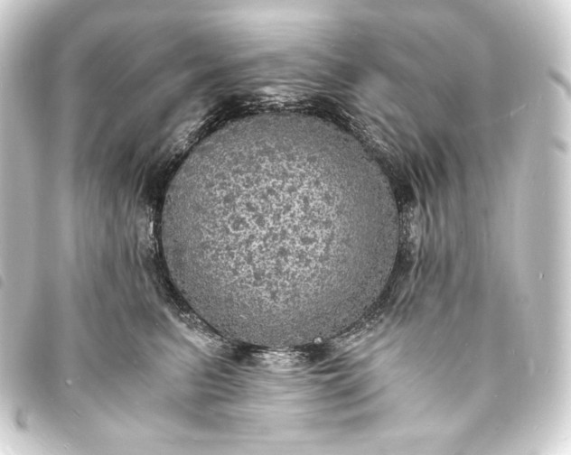 X0000093730615200710301045