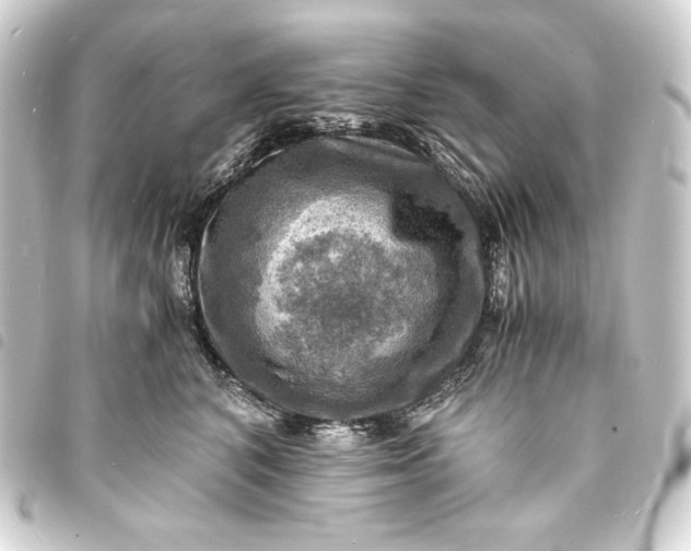 X0000093730616200710301045