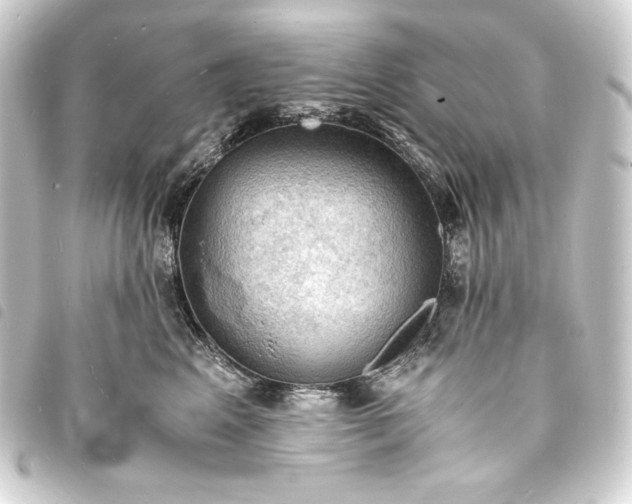 X0000093730617200710301045