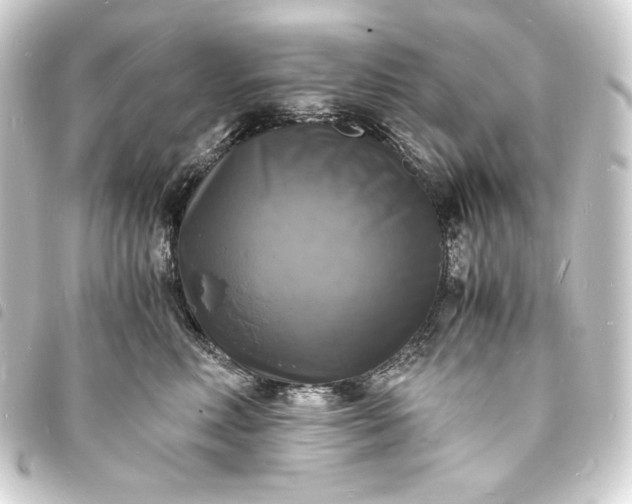 X0000093730618200710301045