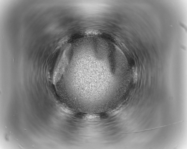 X0000093730619200710301045