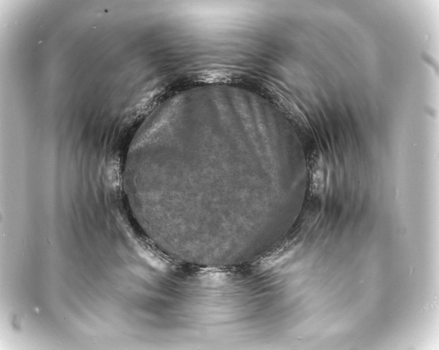 X0000093730620200710301045