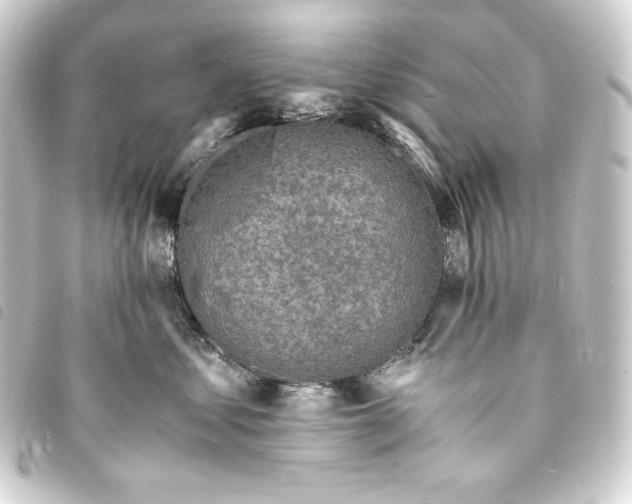 X0000093730621200710301045