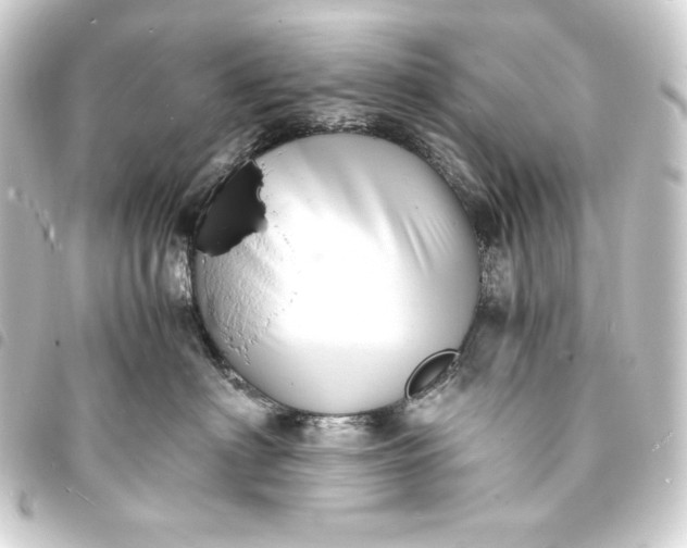 X0000093730622200710301045