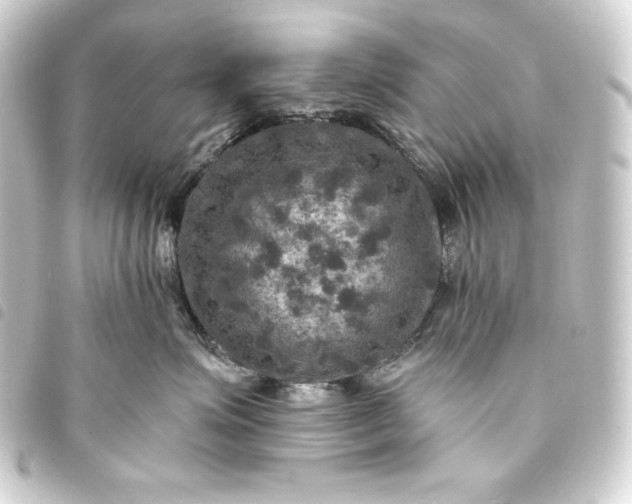 X0000093730623200710301045