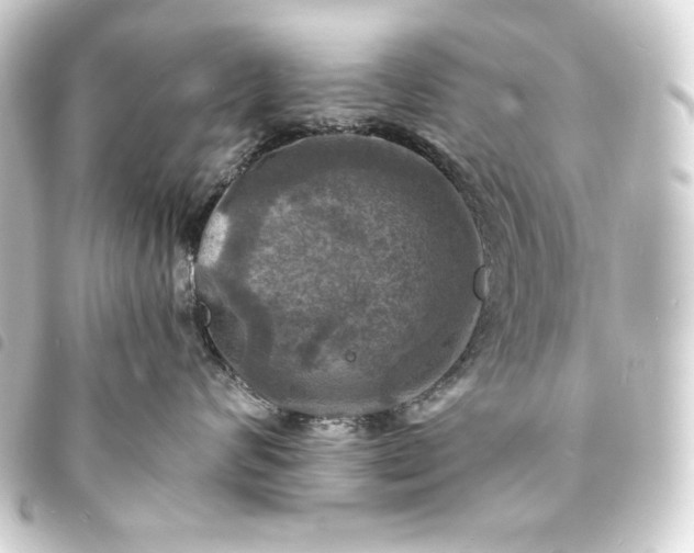 X0000093730624200710301045