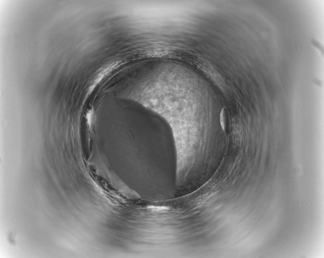 X0000093730626200710301044