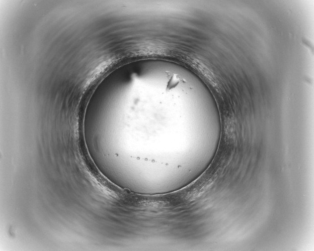 X0000093730629200710301044