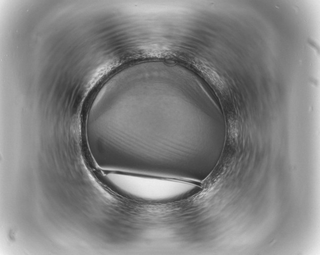 X0000093730630200710301044