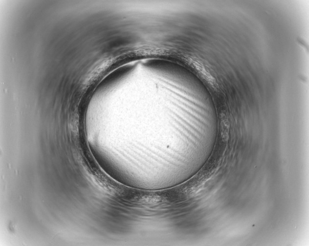 X0000093730631200710301044