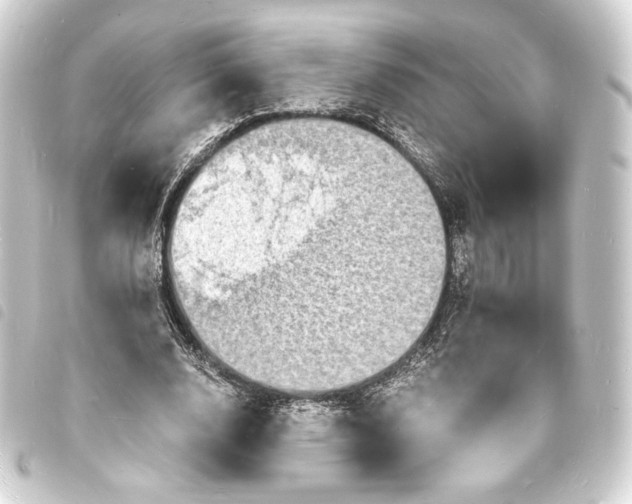 X0000093730632200710301045