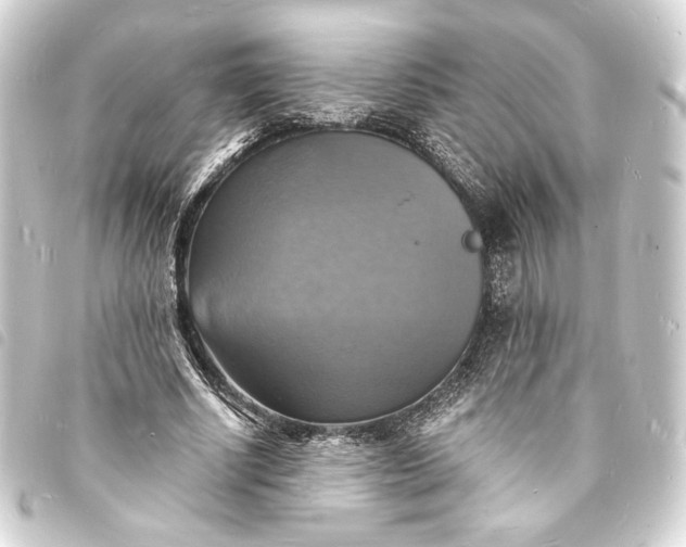 X0000093730634200710301045