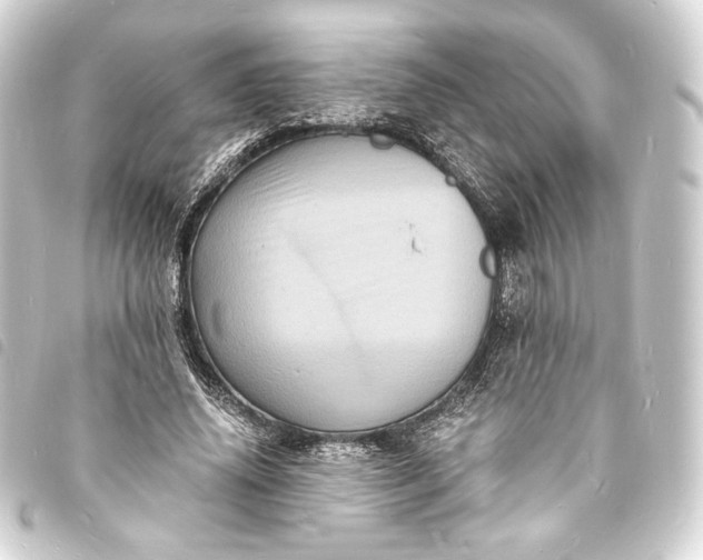 X0000093730636200710301045