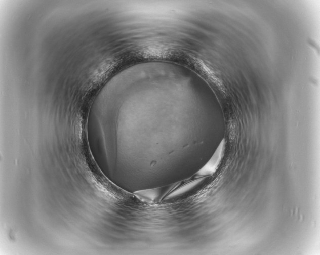 X0000093730637200710301045