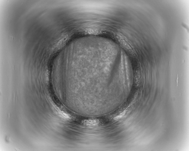 X0000093730639200710301045