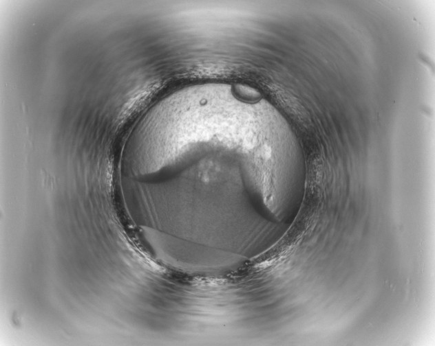 X0000093730640200710301045