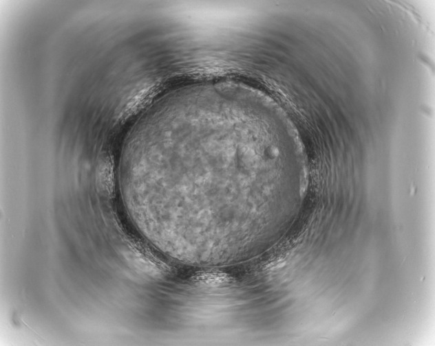 X0000093730642200710301045