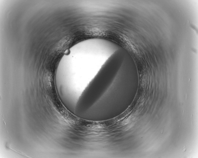 X0000093730643200710301045