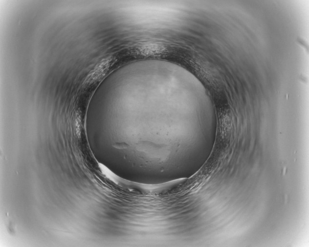 X0000093730644200710301045