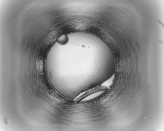 X0000093730646200710301045