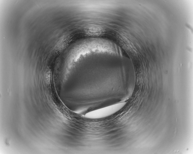 X0000093730647200710301045