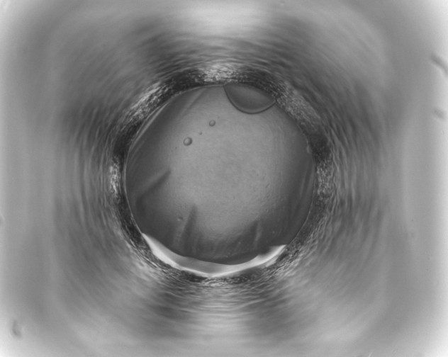 X0000093730648200710301045