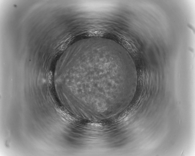 X0000093730649200710301045