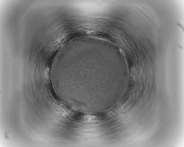 X0000093730650200710301045